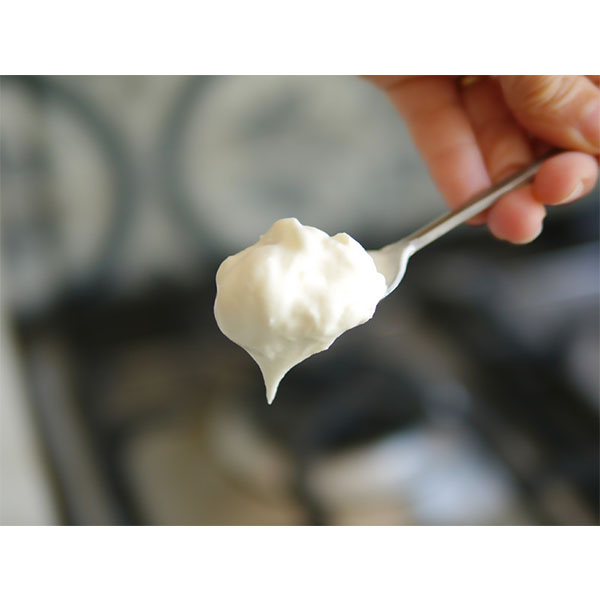 Yogur Dahi Firme Natural sin azúcar